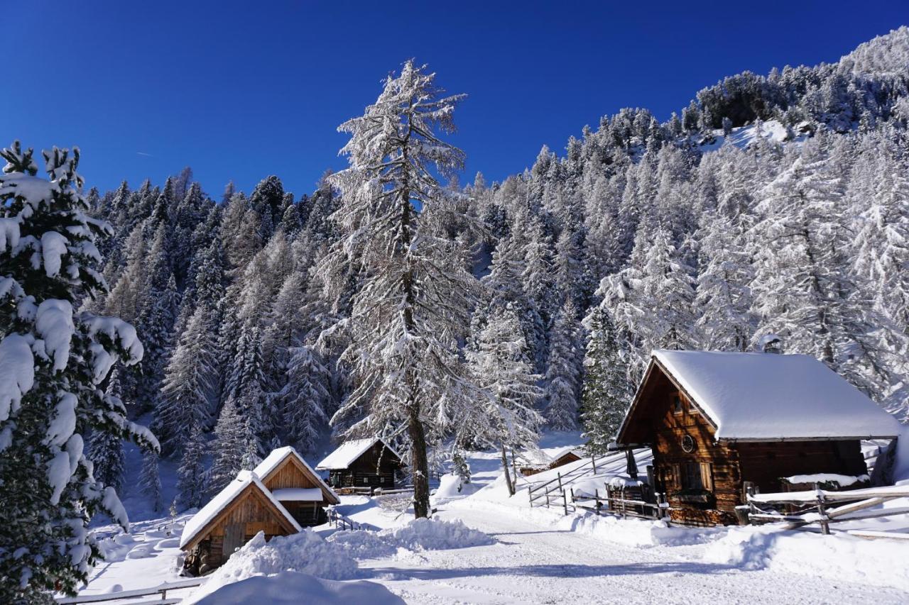 Bergheim Schmidt, Almhuetten Im Wald Appartments An Der Piste Alpine Huts In Forrest Appartments Near Slope Turracher Hohe 외부 사진
